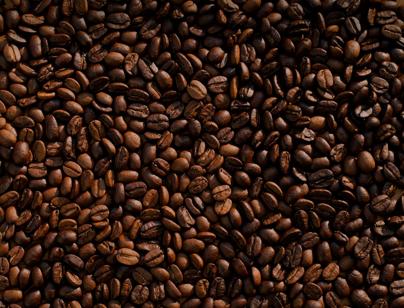 Freshly roasted coffee beans